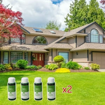 🔥Last Day 70% OFF🌱Hydro Seeding Lawn Solution