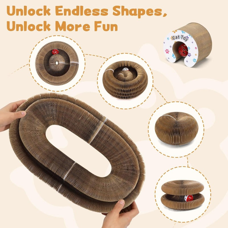 Multi-Shape Foldable Scratcher
