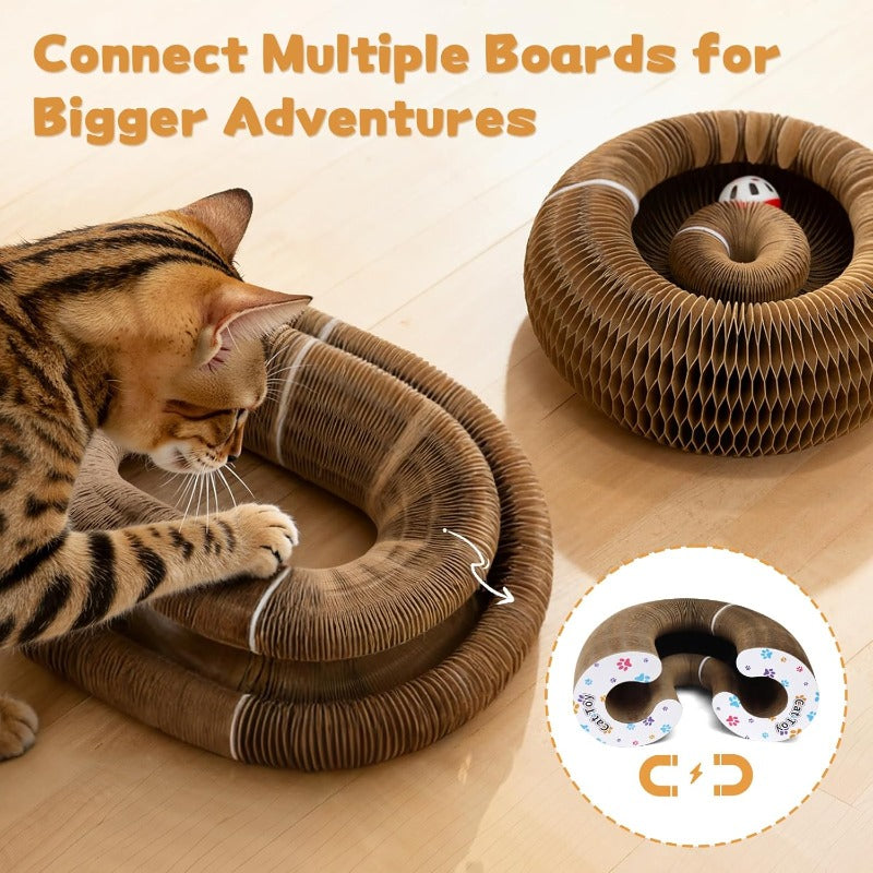Multi-Shape Foldable Scratcher