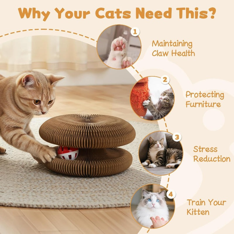 Multi-Shape Foldable Scratcher