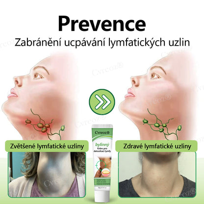 Cvreoz® Kräuter-Lymph-Entgiftungscreme schützt Ihre Gesundheit