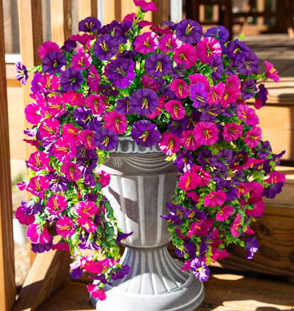 UV Resistant Hanging Morning Glory