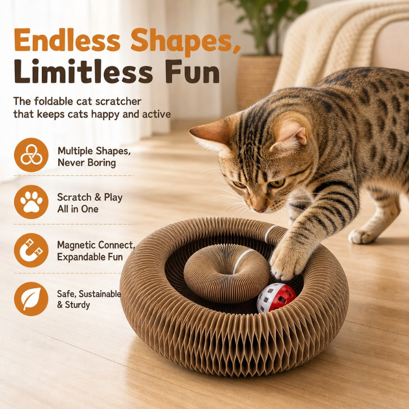 Multi-Shape Foldable Scratcher