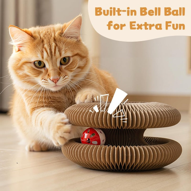 Multi-Shape Foldable Scratcher