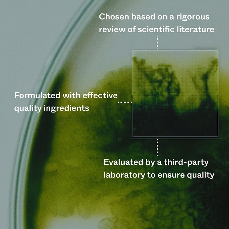 💡TikTok-Trend 2025: 🌿Verjüngendes Haarserum mit BIO-PILIXIN® Phytoexsudaten – 🌱Wiederherstellung der Jugend in 30 Tagen